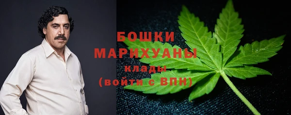 молекула духа Покров