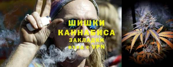 молекула духа Покров