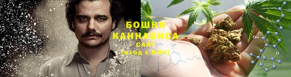 молекула духа Покров