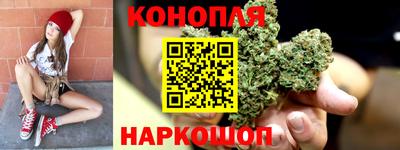 стаф Кунгур