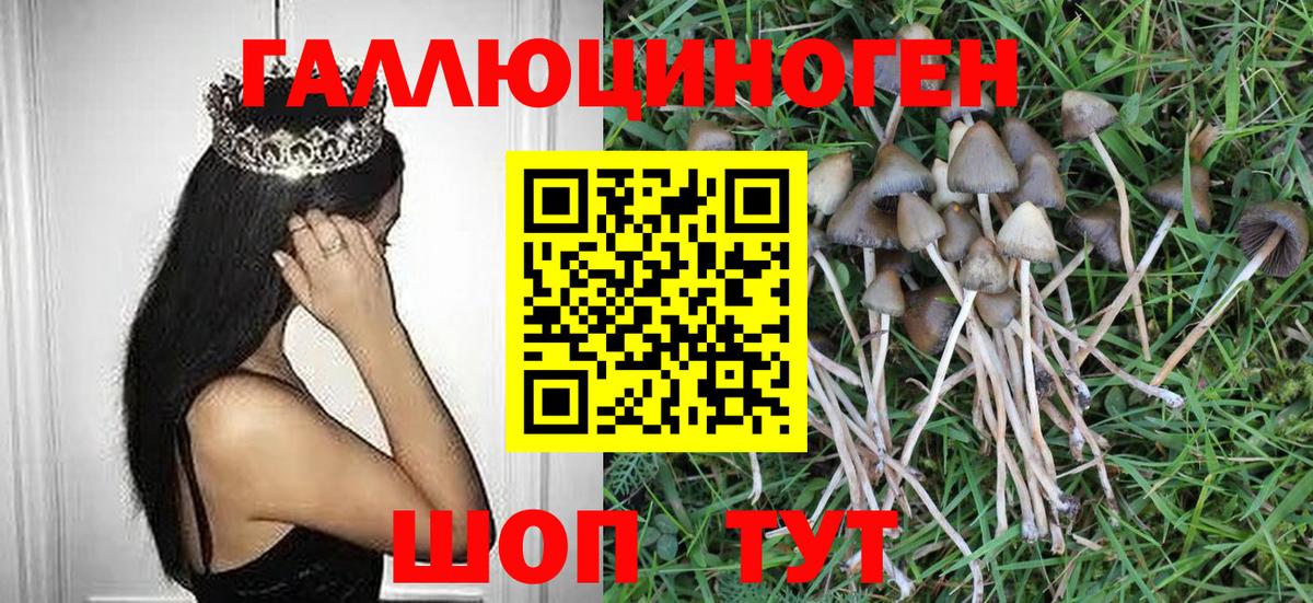 Галлюциногенные грибы MAGIC MUSHROOMS Качканар