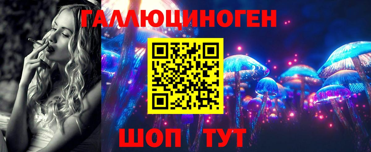 купить наркотик  Вход с VPN  Качканар  Псилоцибиновые грибы Psilocybine cubensis 