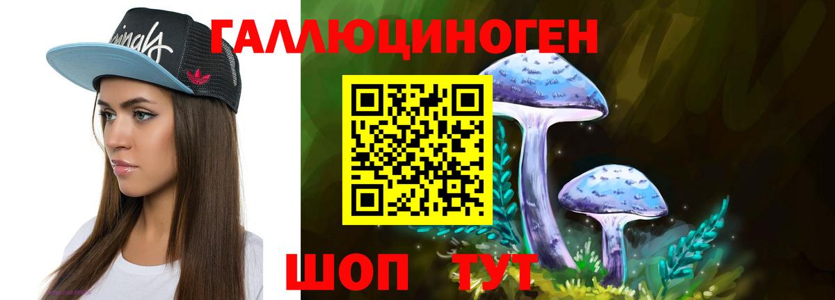 Галлюциногенные грибы Psilocybe  Галлюциногенные грибы мухоморы  Качканар 